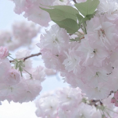 Furry绘画配色实用指南福瑞交流群